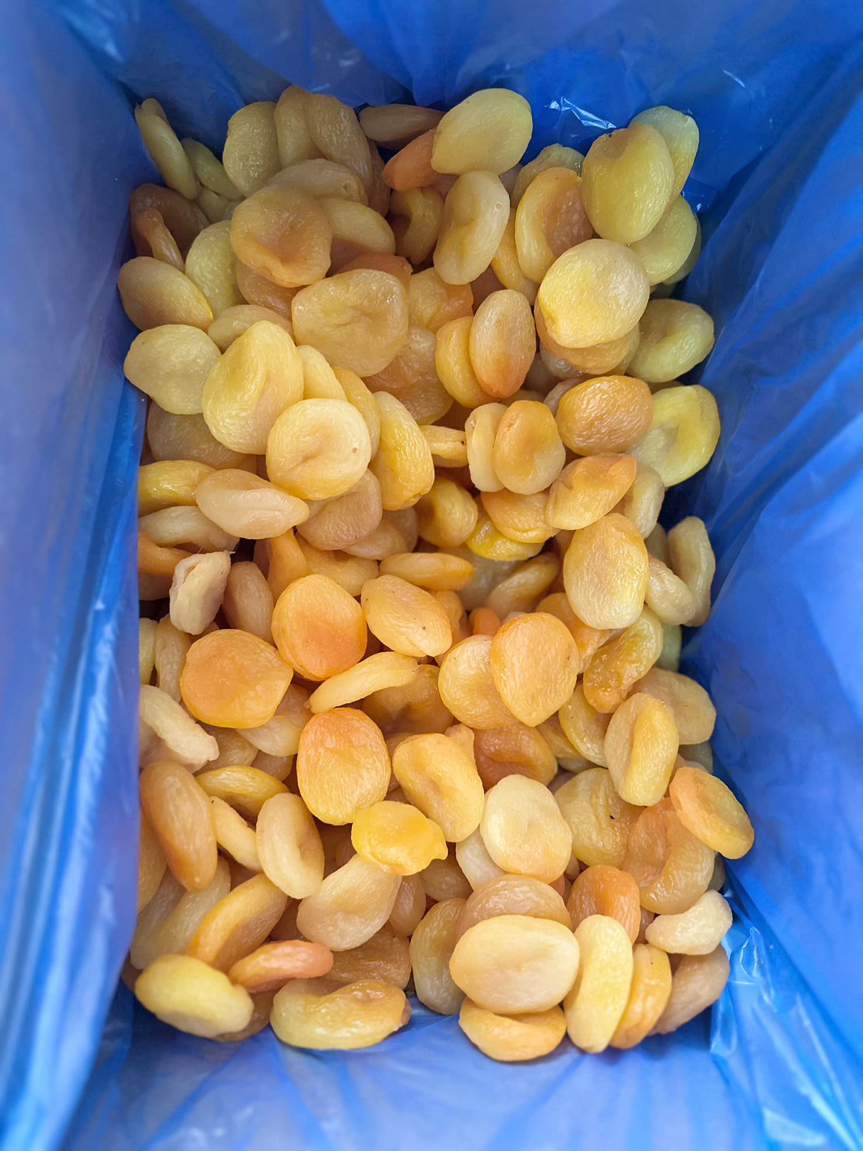 Serde | Abricots secs jaunes (jumbo)